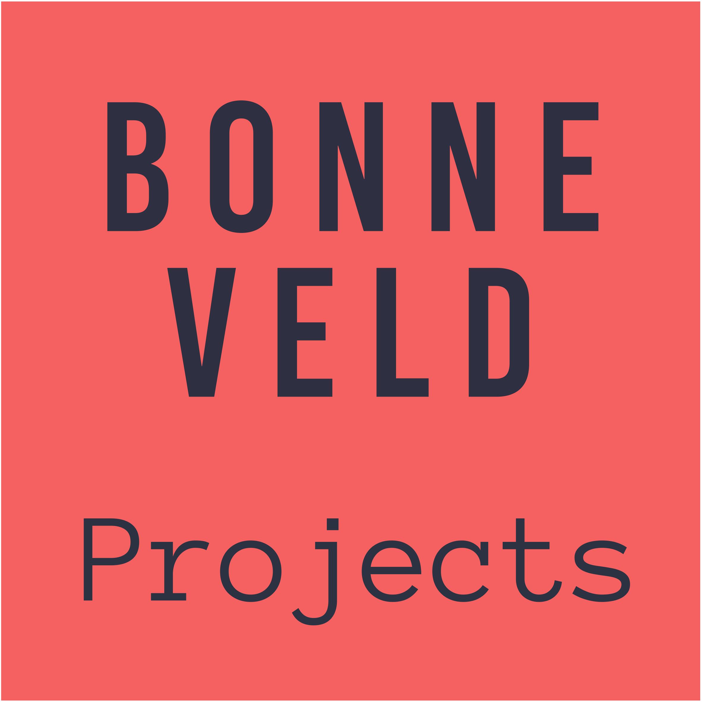 Interieur en exterieur bouw | Bonneveld projects